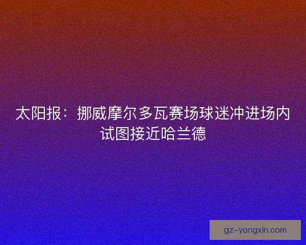 太阳报：挪威摩尔多瓦赛场球迷冲进场内试图接近哈兰德
