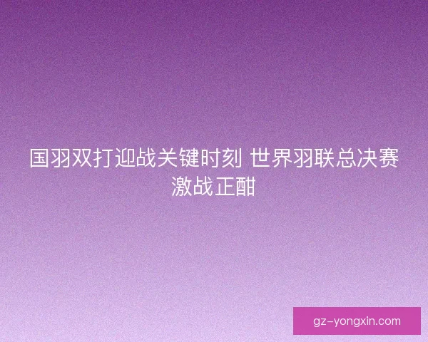 国羽双打迎战关键时刻 世界羽联总决赛激战正酣
